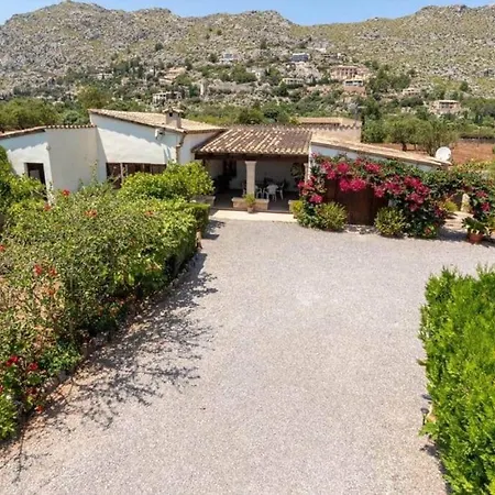 Rosa Villa Pollensa